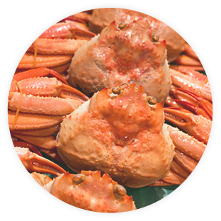 世界の食がMarでつながる