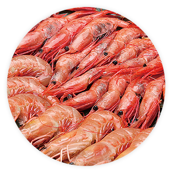 世界の食がMarでつながる