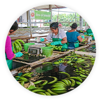 世界の食がMarでつながる